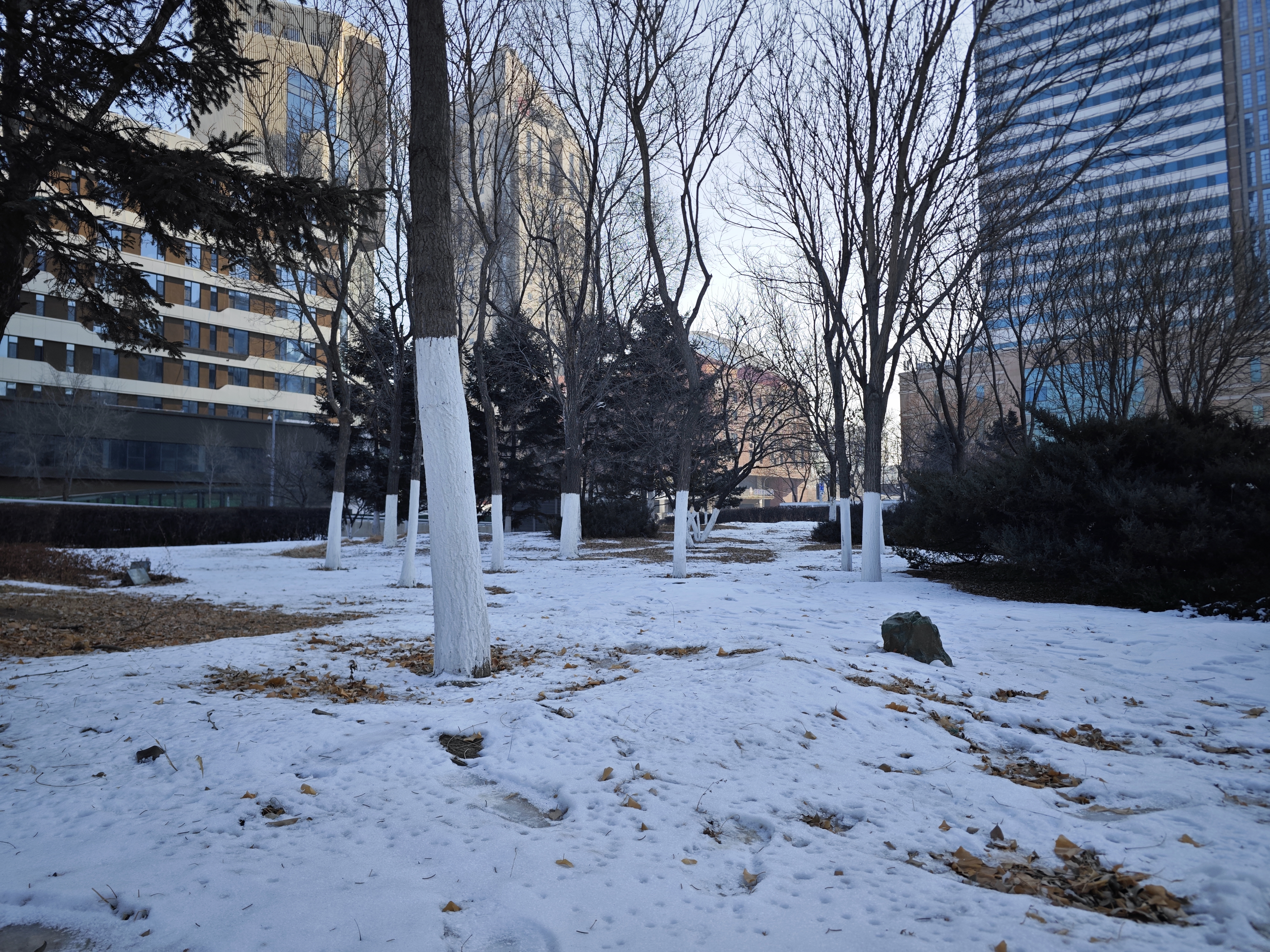 没见过雪的南方人第一次站在雪地里