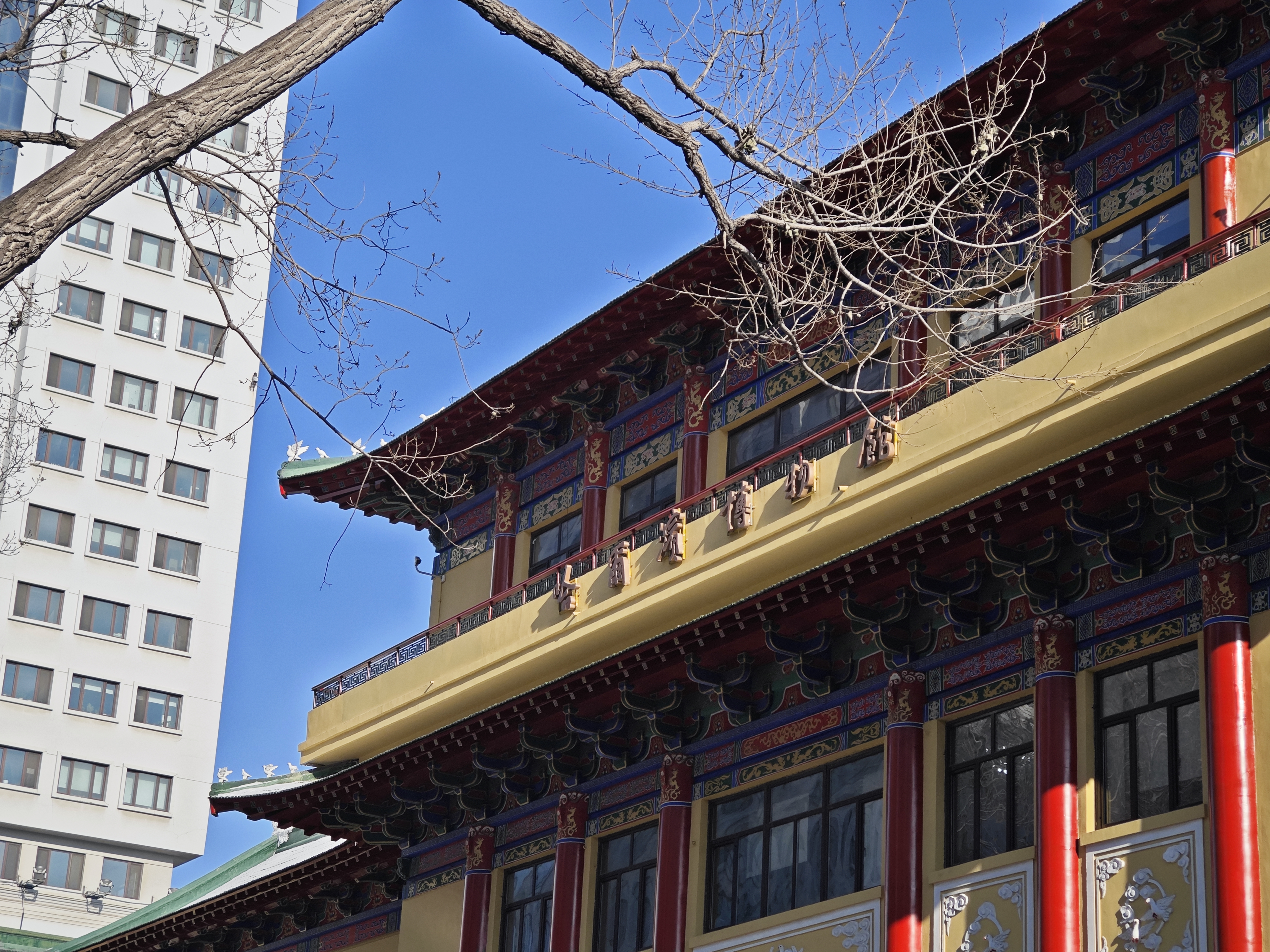 公园门前的哈尔滨市博物馆