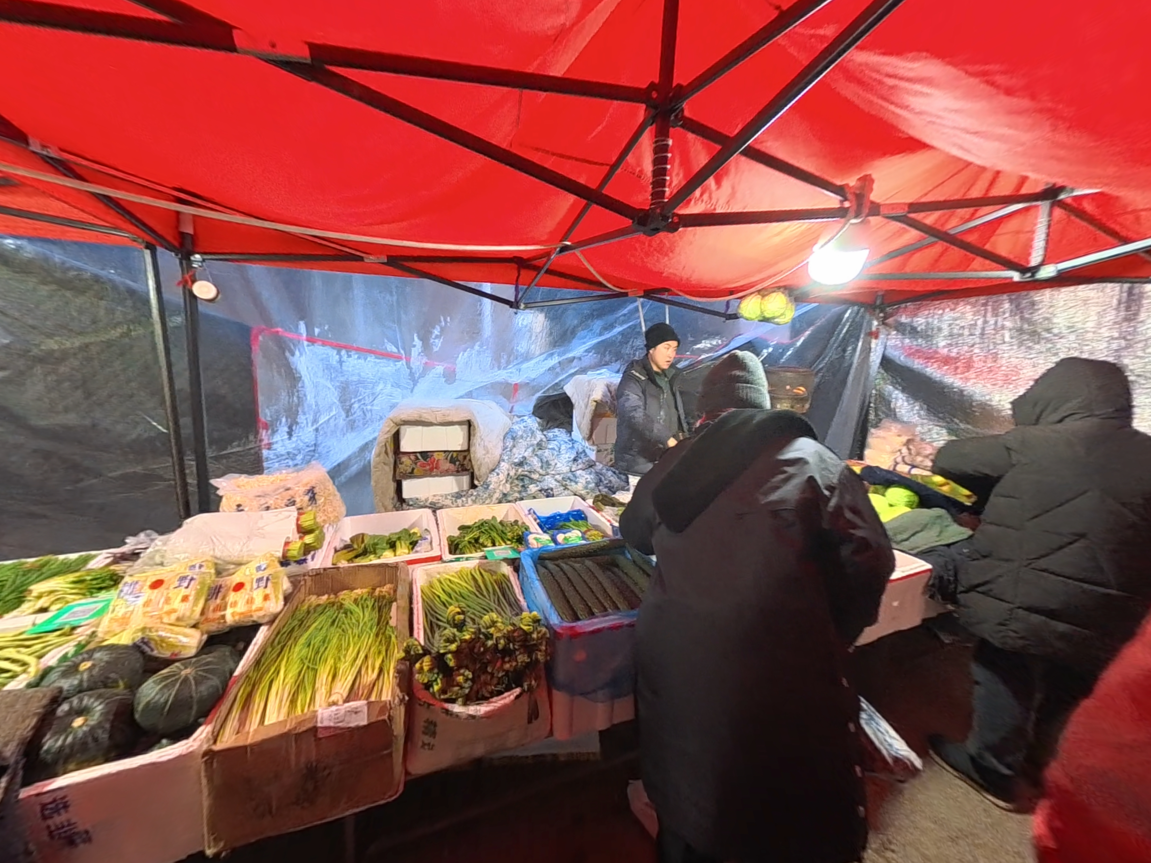 为了防止蔬菜被冻坏需要在一个保温棚里买菜