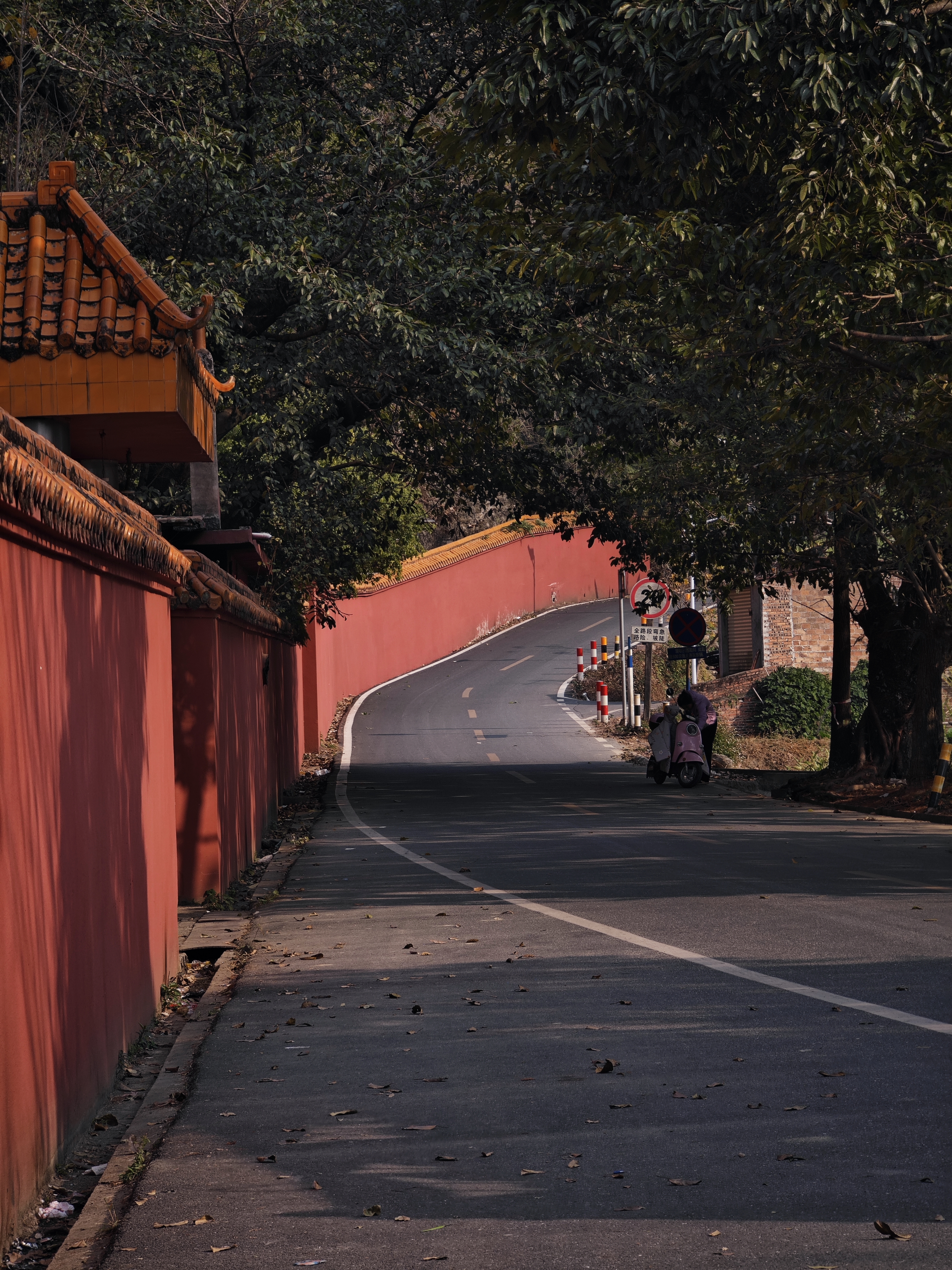 红墙绿树